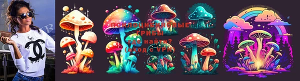 гидра Алексеевка