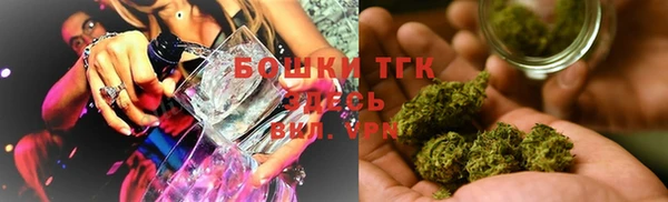 гидра Алексеевка