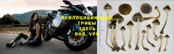 гидра Алексеевка