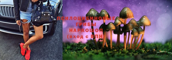 шишки Абдулино