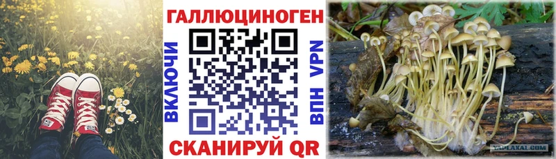 Псилоцибиновые грибы ЛСД  сайты даркнета наркотические препараты  Закаменск 